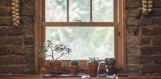 Czy czosnek Odrobacza gołębie?