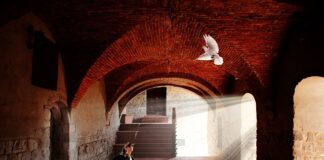 Czy królik może być zazdrosny?