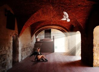 Czy królik może być zazdrosny?