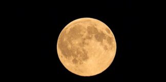 Ile procent może mieć bimber?