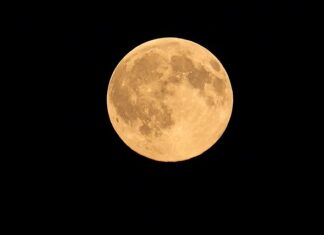 Ile procent może mieć bimber?