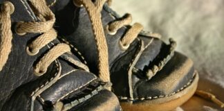 Jak nauczyć królika brać na ręce?