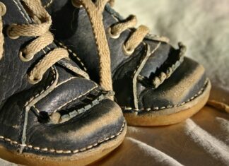 Jak nauczyć królika brać na ręce?