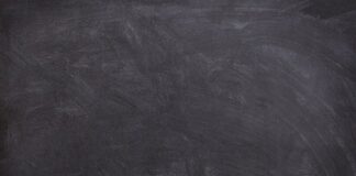 W jakim wieku powinno się uczyć psa chodzenia na smyczy?