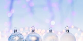 Z czego zrobić kulki dla ptaków?