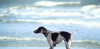 W czym moczyć paznokcie?