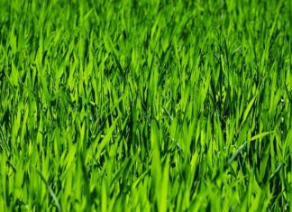 Jak powinna wyglądać codzienna pielęgnacja twarzy?