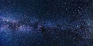 Jak oczyścić drogi oddechowe u gołębi?