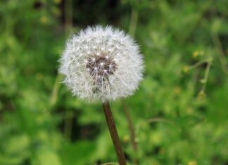 Co oznacza swędzące opuszki palców?