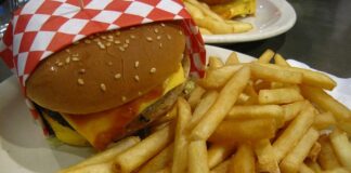 Czy do Mc Donald można wejść z psem?