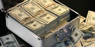 Ile zarabia się na gołębiach?