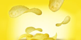 Czy można karmić ptaki frytkami?