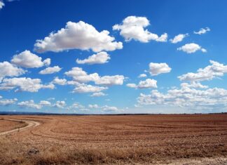 Po czym poznać słabego mężczyznę?