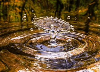 Z czego się składa Liquid?