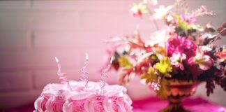 Jak zrobić tort na urodziny dla kota?