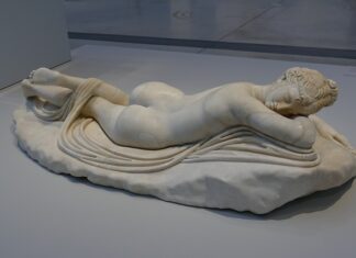 Jak długo żyją krewetki?