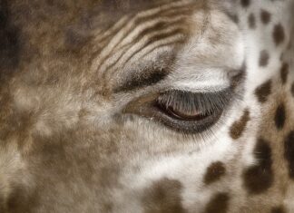 Jak pozbyć się twarde plamy pod pachami?