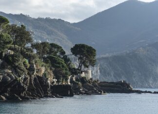 Ile kosztuje zabieg sonoforezy?