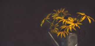 Czy blokery potu powodują raka?