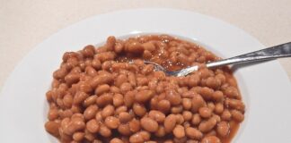 Dlaczego nie wolno karmić gołębi?