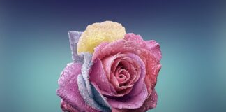 Czym się rożni oxybrazja od infuzji tlenowej?