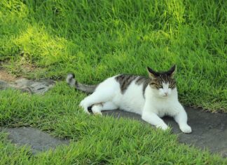 Co zabija atrakcyjność?