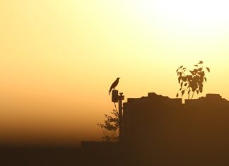Co jest przyczyną nadmiernego pocenia się?